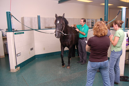 Treatment bay